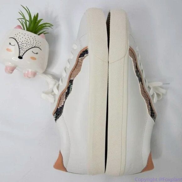 Madewell Sidewalk Low-Top Sneakers‎ in Snake Embossed Leather size 10.5 - Picture 2 of 9